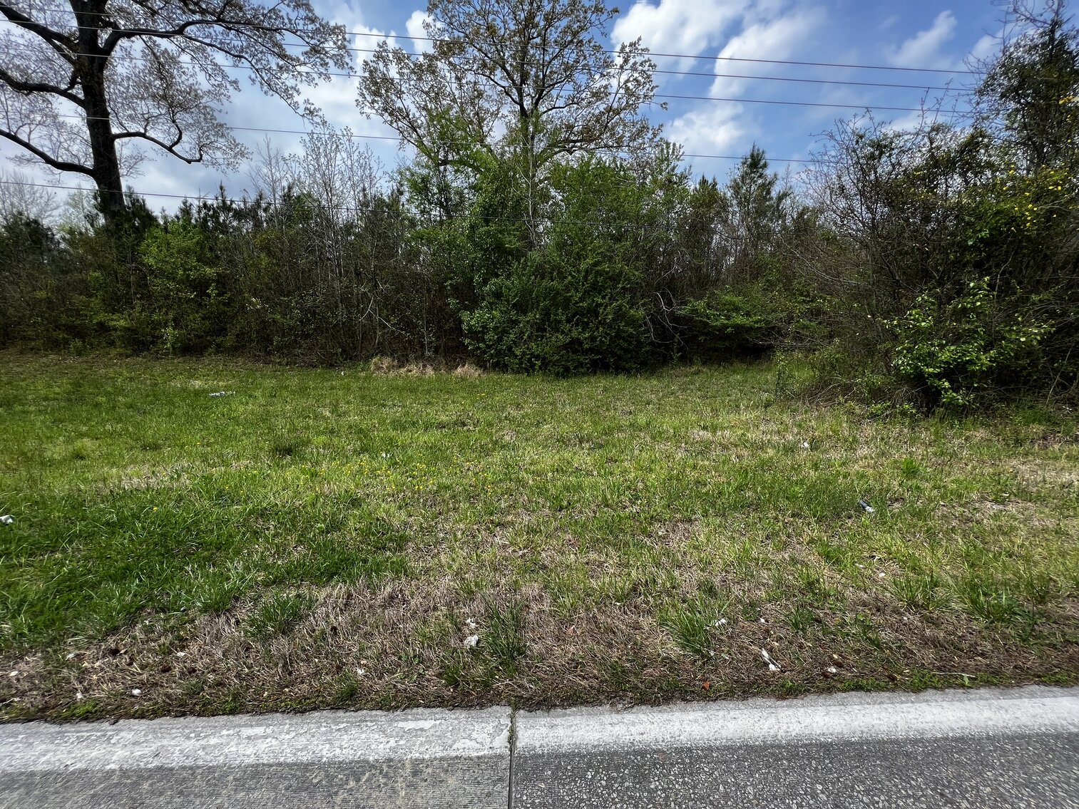 Southampton County TAX AUCTION!!!