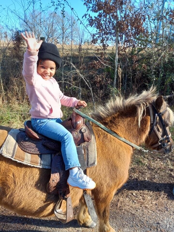 Image for Mize Horse Sale April 15th Mize, Mississippi