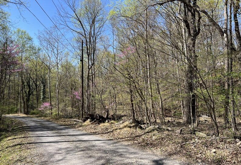 Image for Warren County, VA Sale of Tax Delinquent Real Estate