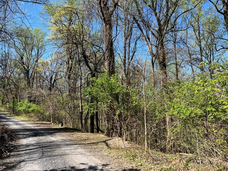 Image for Warren County, VA Sale of Tax Delinquent Real Estate