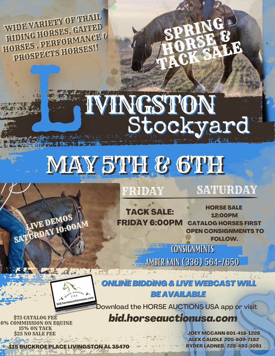 Image for Livingston Stockyard Horse Sale May 6th Livingston, Alabama