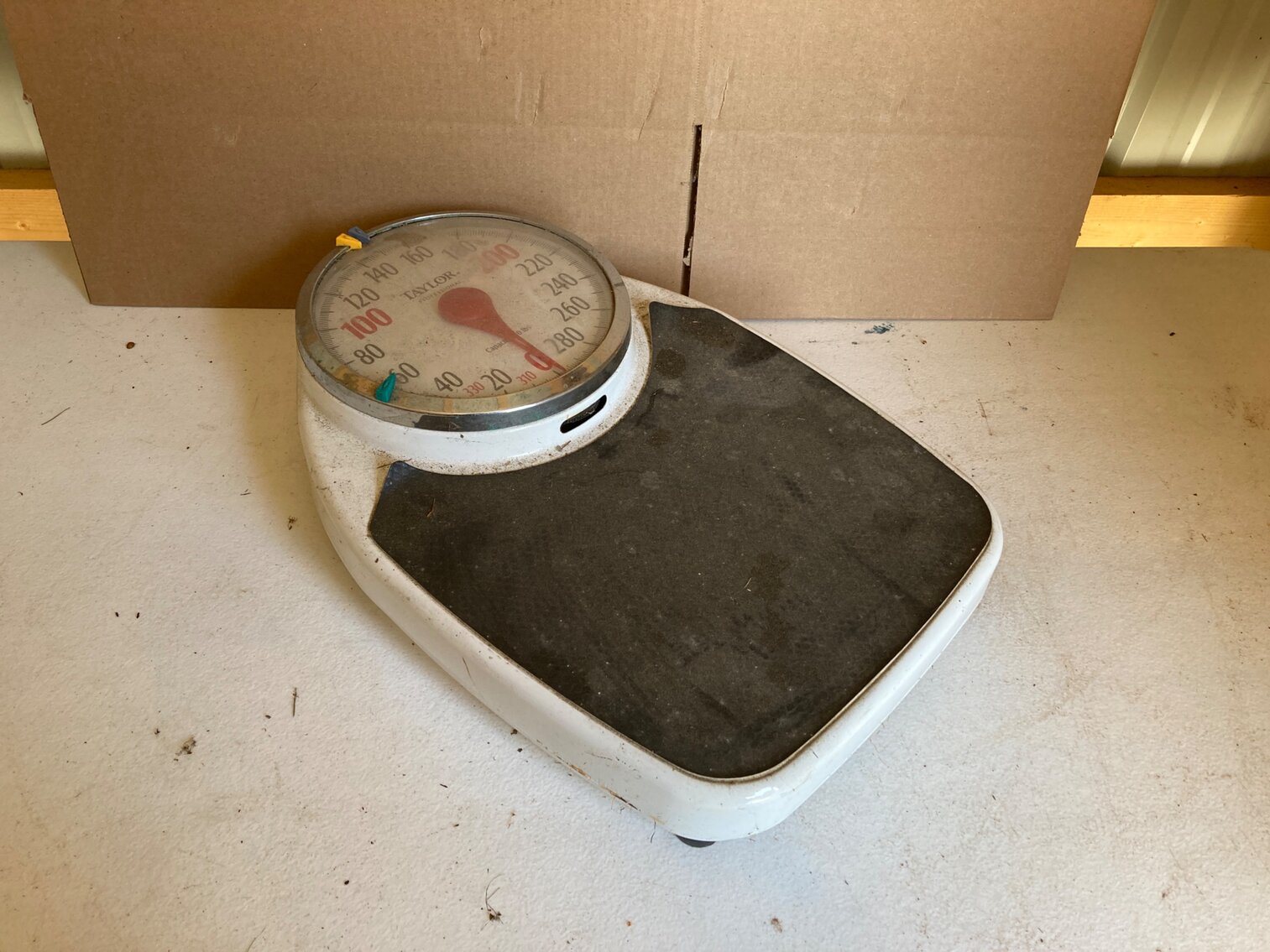 Taylor Professional Scale
