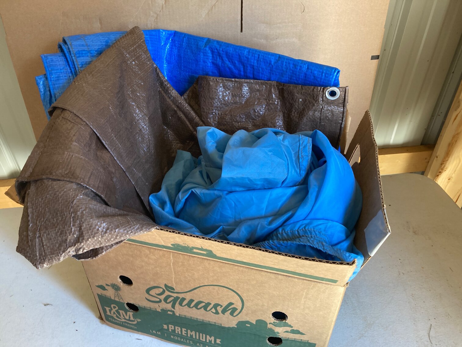Tarps and Car Cover
