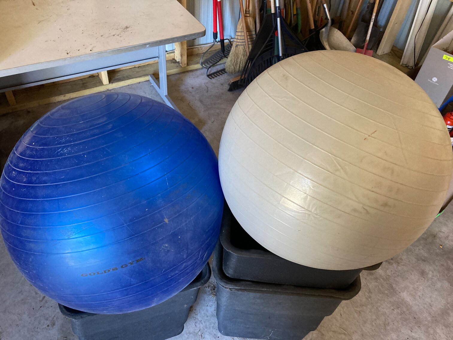 Exercise Balls