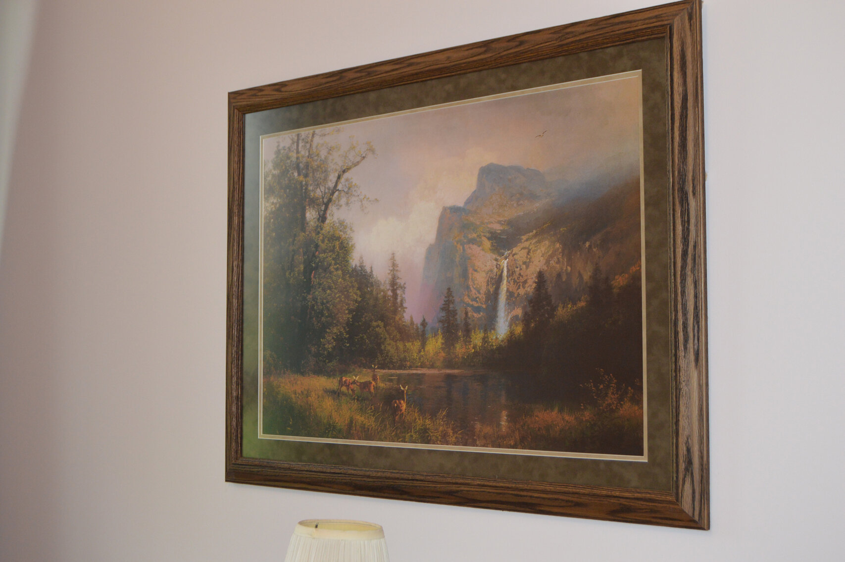 Image for 355 Normandy Road, Normandy