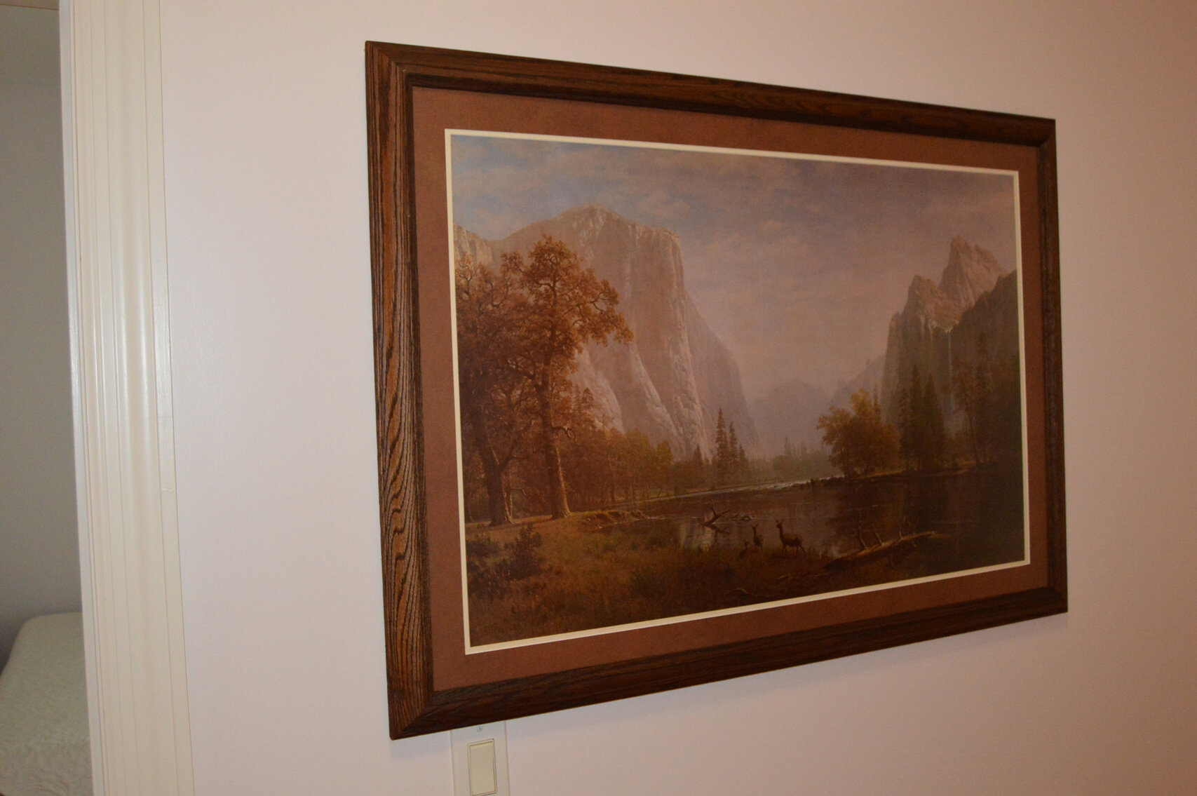 Image for 355 Normandy Road, Normandy