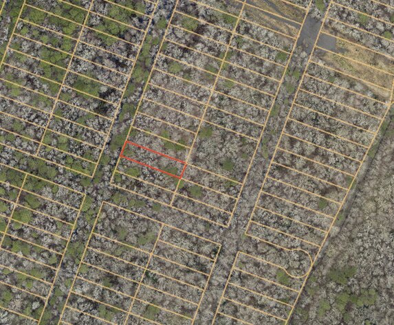 Image for May 5th - May 16th - City of Chesapeake TAX AUCTION