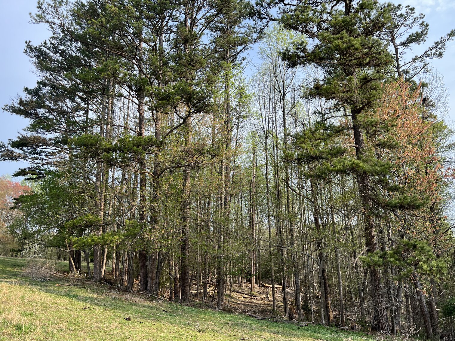 Image for Commissioner's Sale - Brick Home with 21 Acres