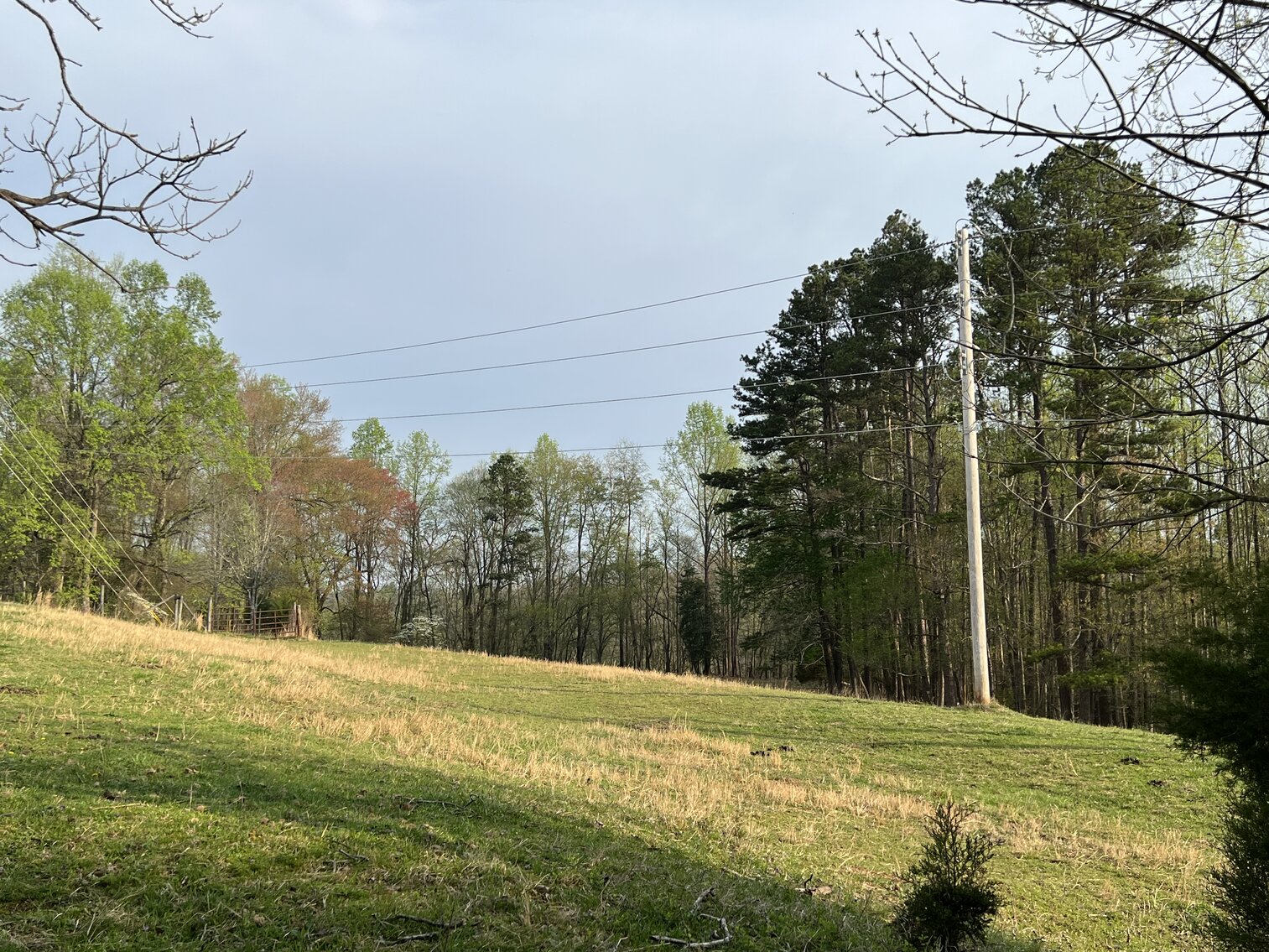 Image for Commissioner's Sale - Brick Home with 21 Acres