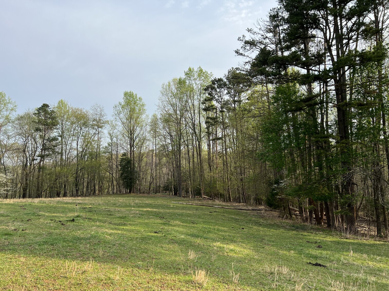 Image for Commissioner's Sale - Brick Home with 21 Acres