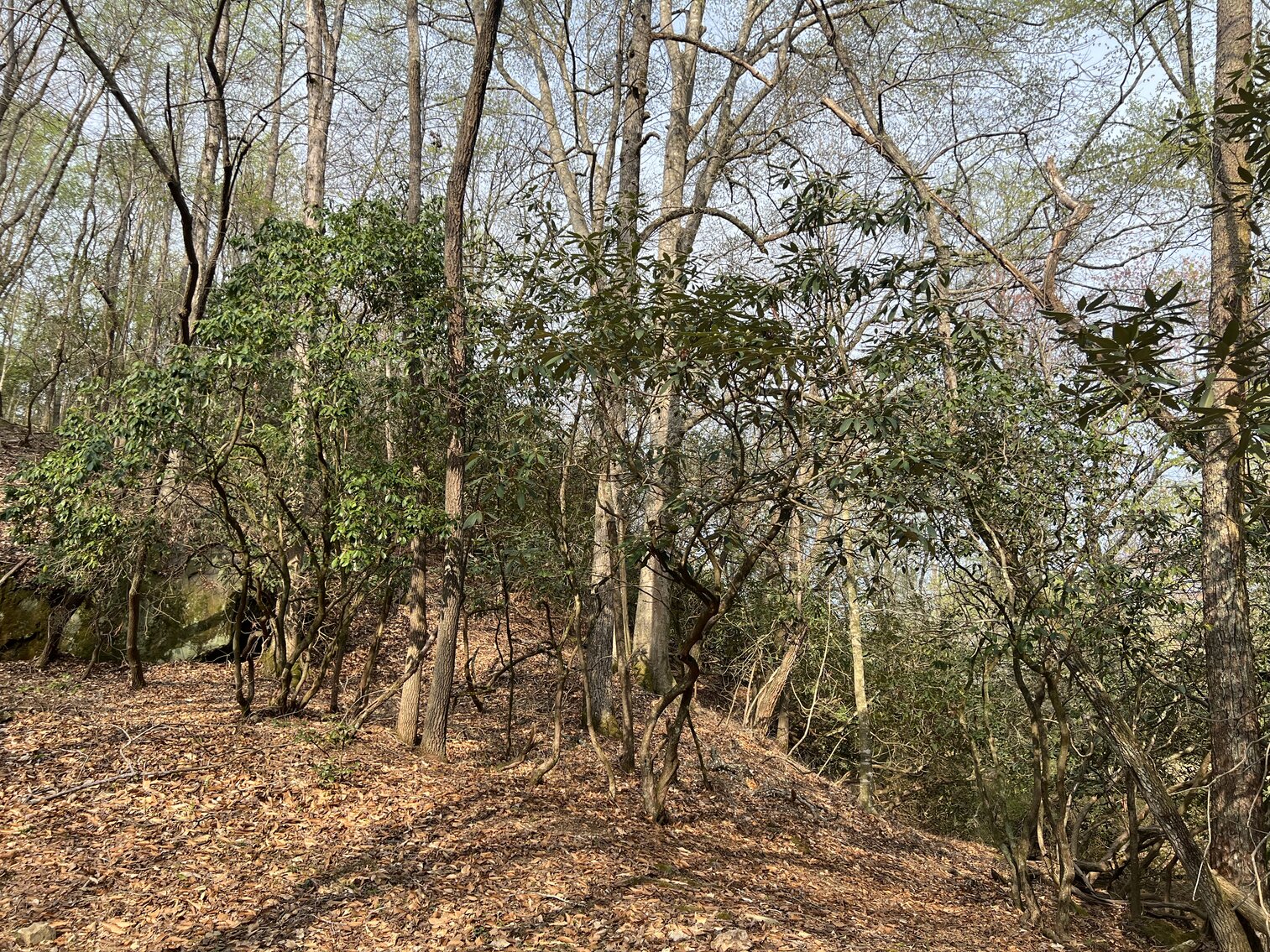 Image for Commissioner's Sale - Brick Home with 21 Acres