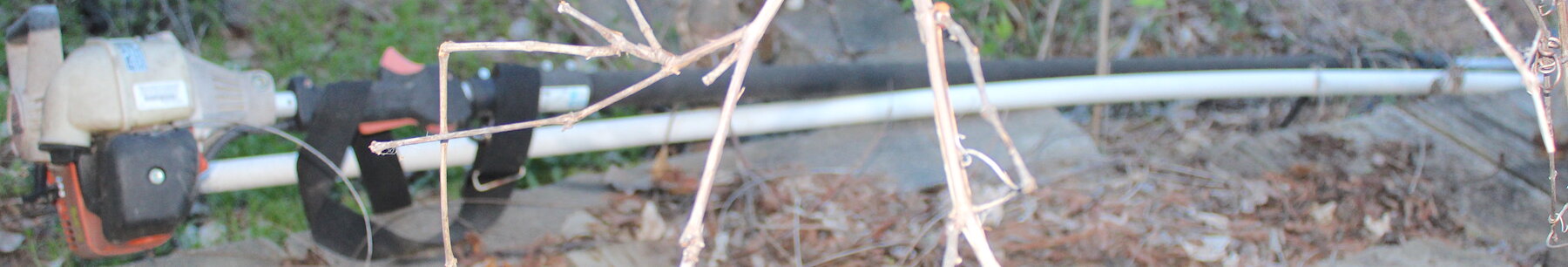 Image for EMERGENCY LAST MINUTE ESTATE AUCTION