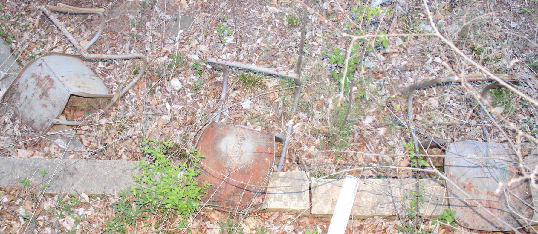 Image for EMERGENCY LAST MINUTE ESTATE AUCTION