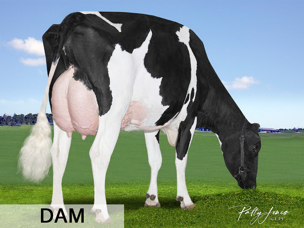 F. Energy x Walnutlawn Abbott Summerlove VG-87