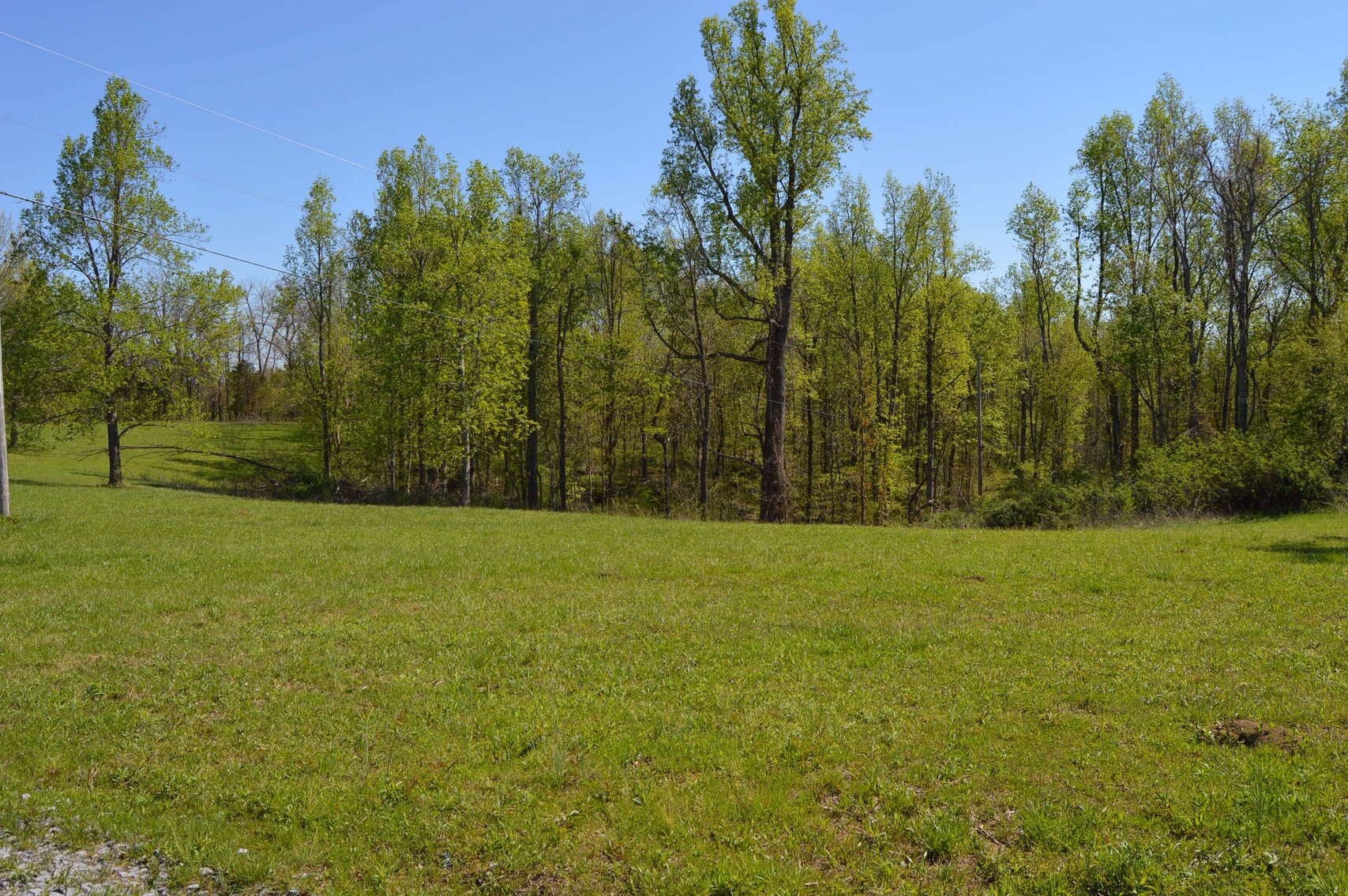 Image for 1155 Mount Herman Road, Shelbyville