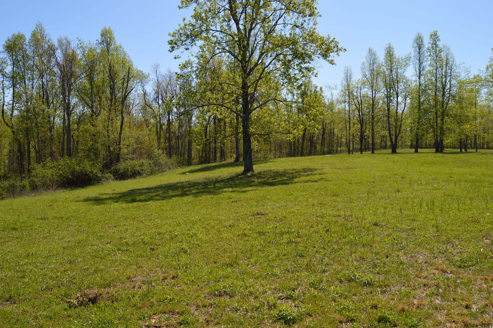 Image for 1155 Mount Herman Road, Shelbyville