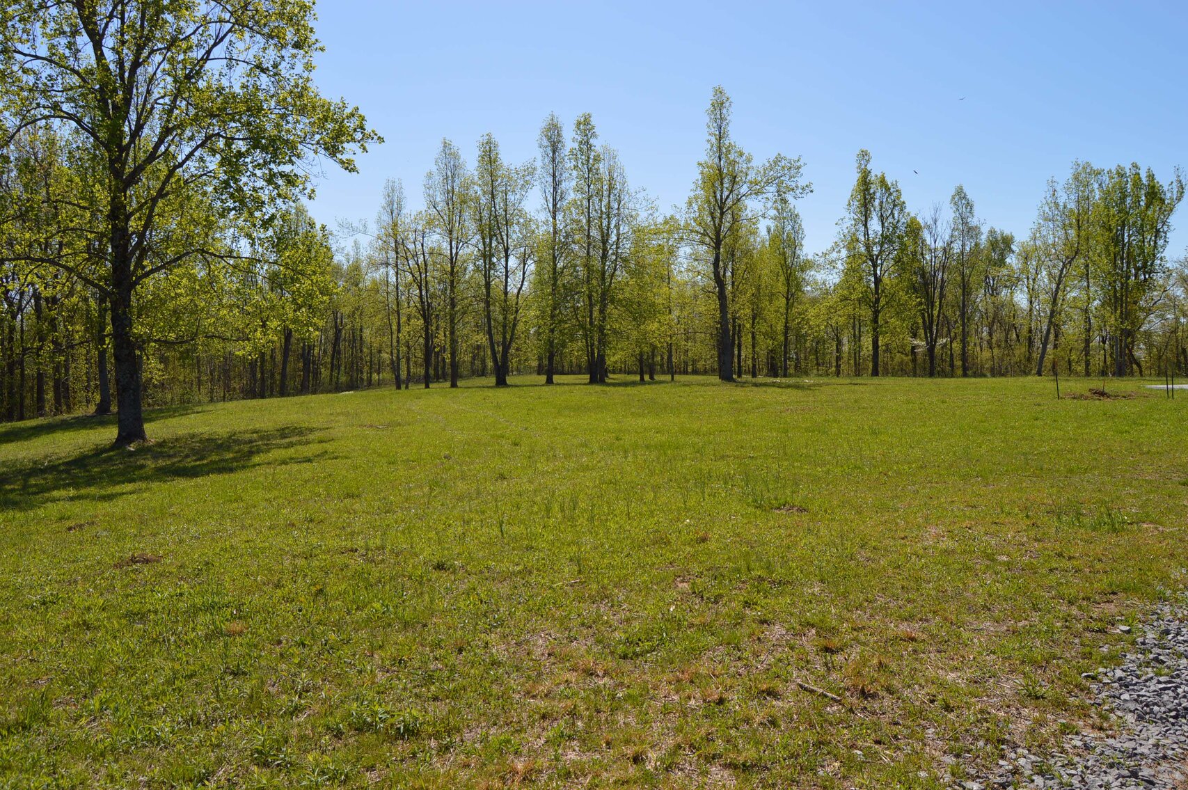 Image for 1155 Mount Herman Road, Shelbyville