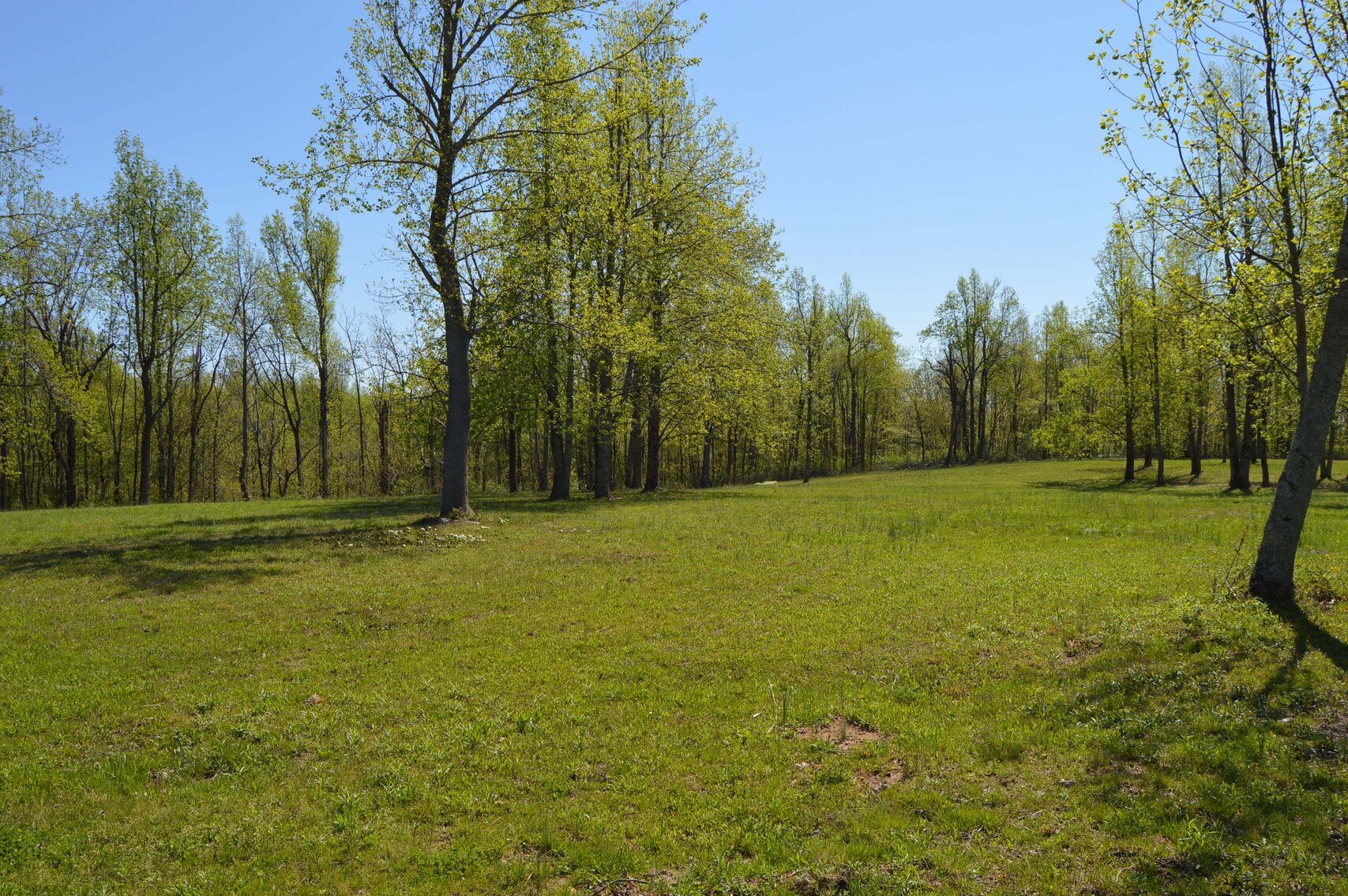 Image for 1155 Mount Herman Road, Shelbyville