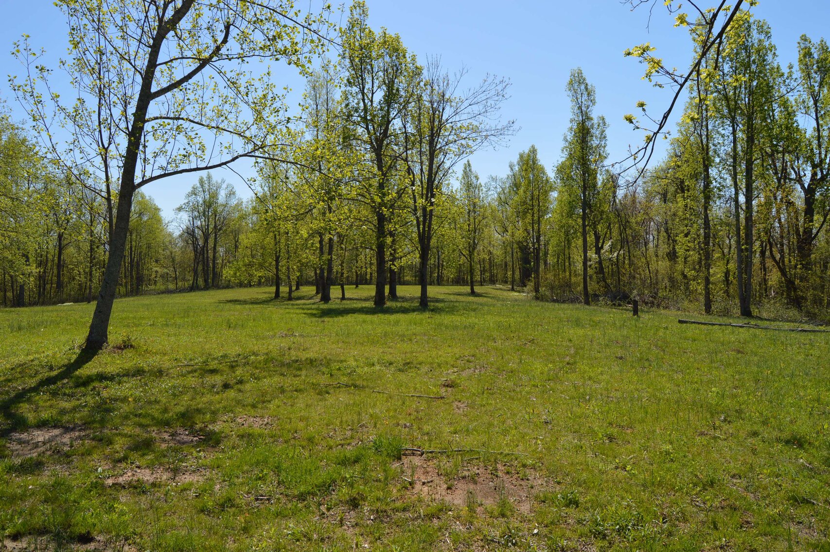 Image for 1155 Mount Herman Road, Shelbyville