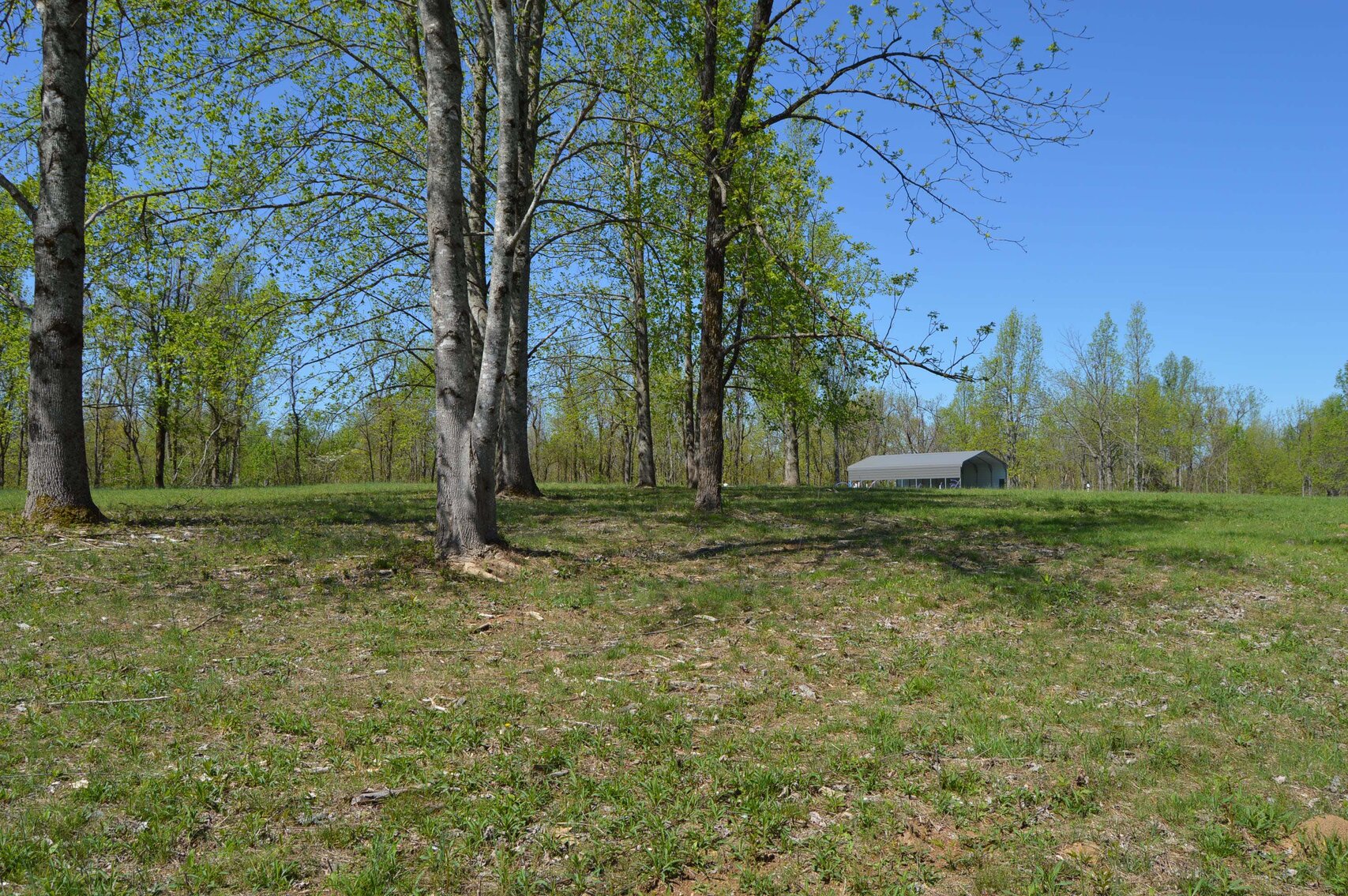 Image for 1155 Mount Herman Road, Shelbyville