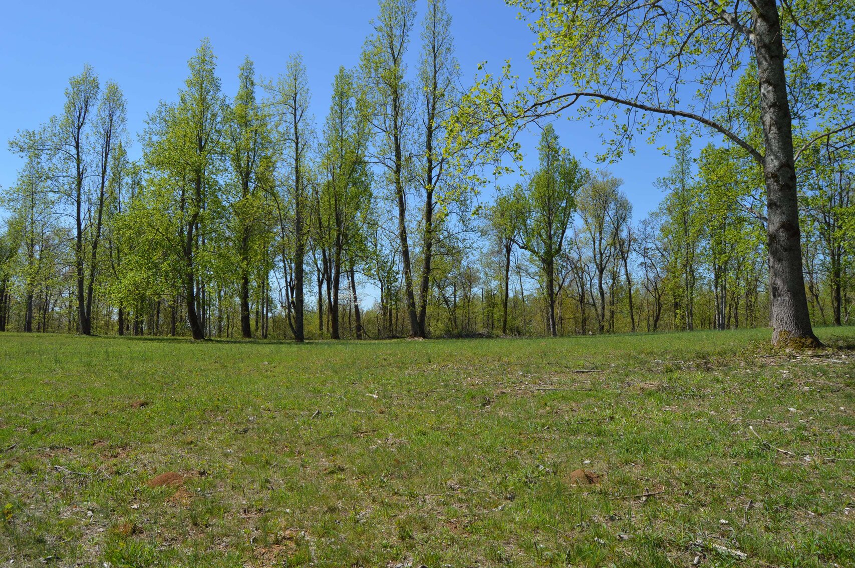 Image for 1155 Mount Herman Road, Shelbyville