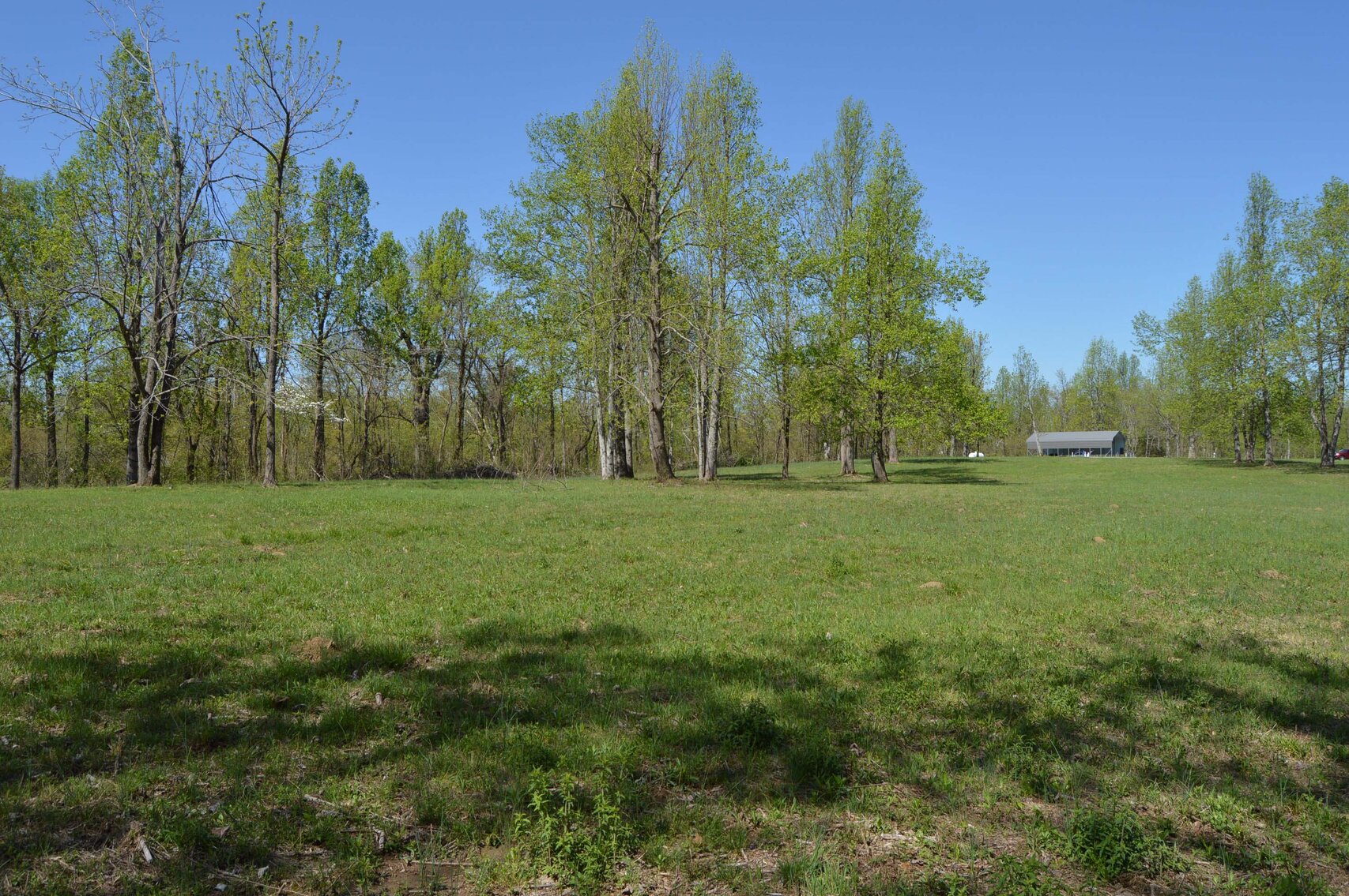 Image for 1155 Mount Herman Road, Shelbyville