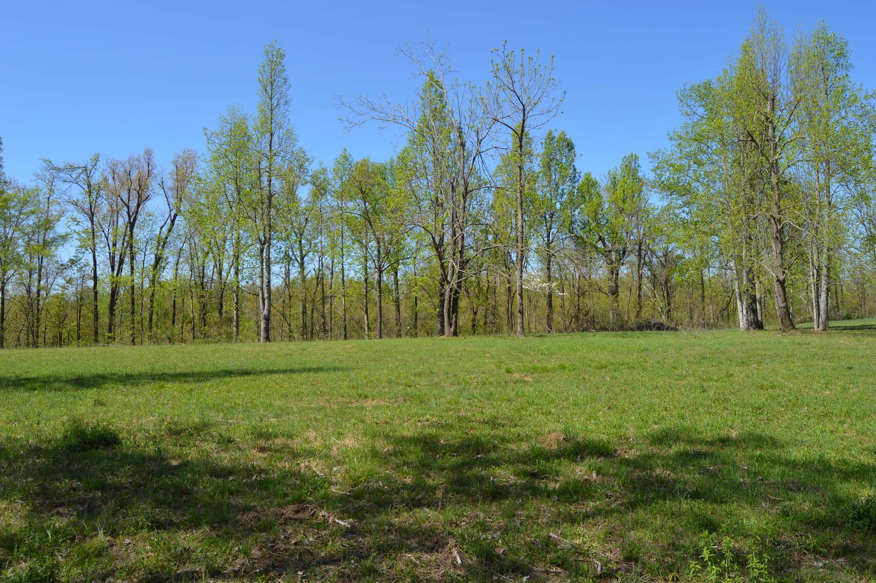 Image for 1155 Mount Herman Road, Shelbyville