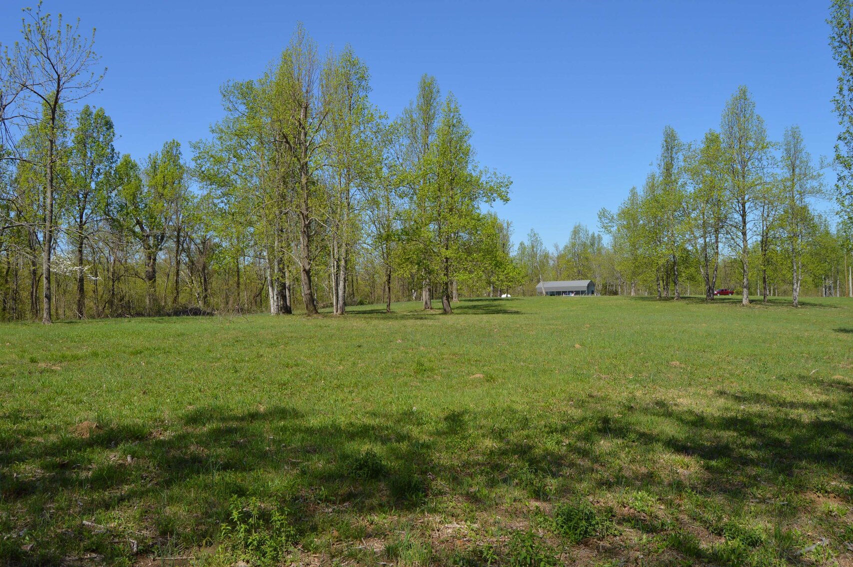 Image for 1155 Mount Herman Road, Shelbyville