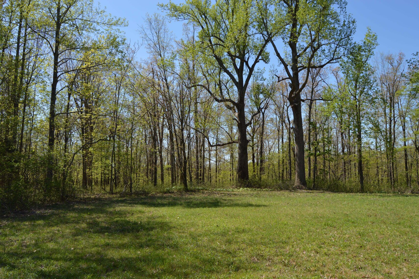 Image for 1155 Mount Herman Road, Shelbyville