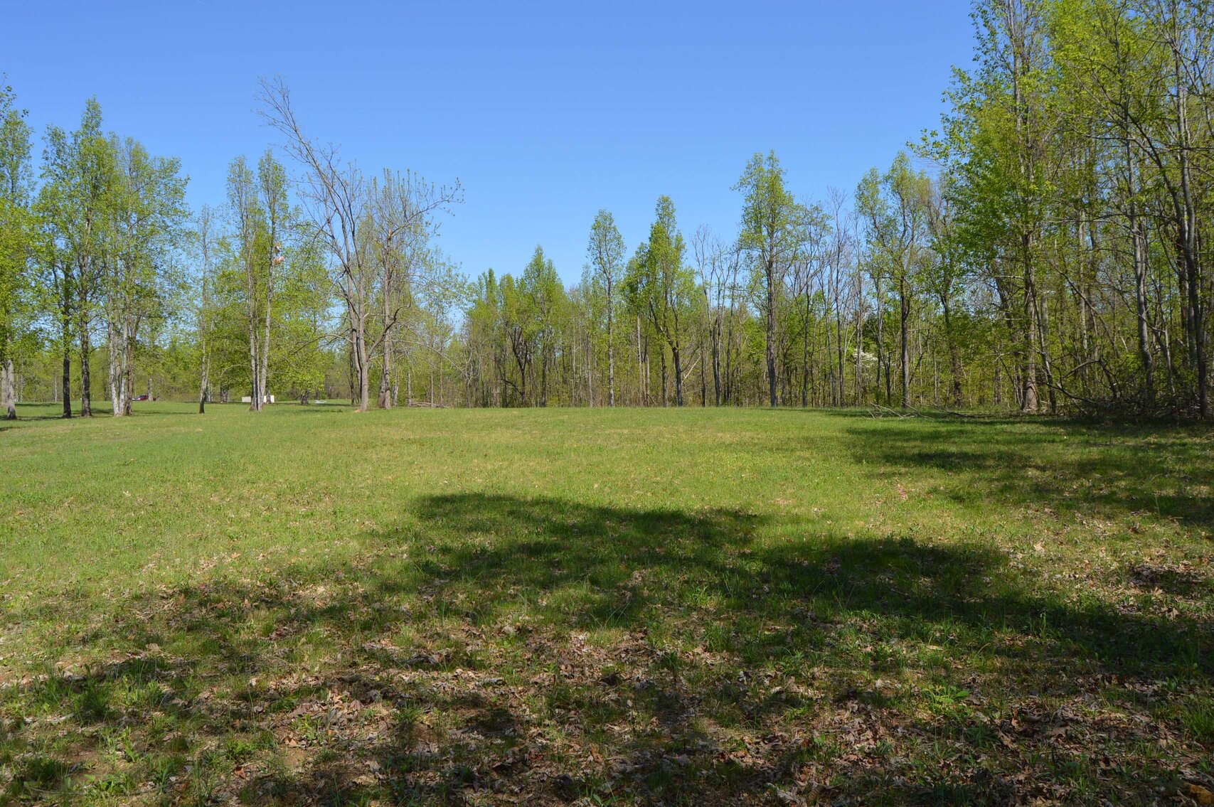 Image for 1155 Mount Herman Road, Shelbyville