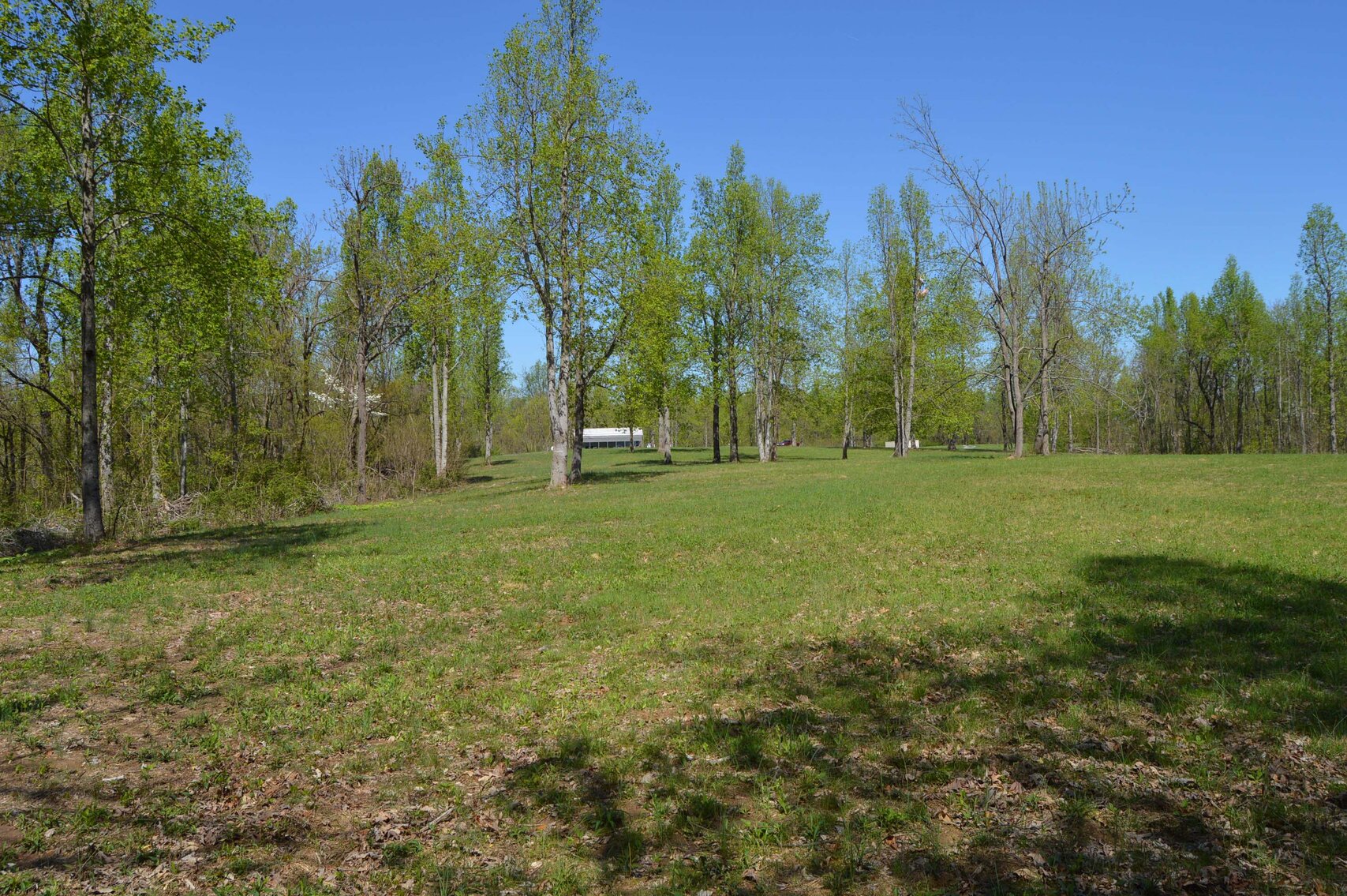 Image for 1155 Mount Herman Road, Shelbyville