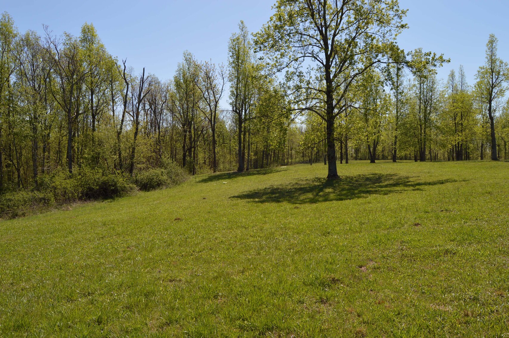 Image for 1155 Mount Herman Road, Shelbyville