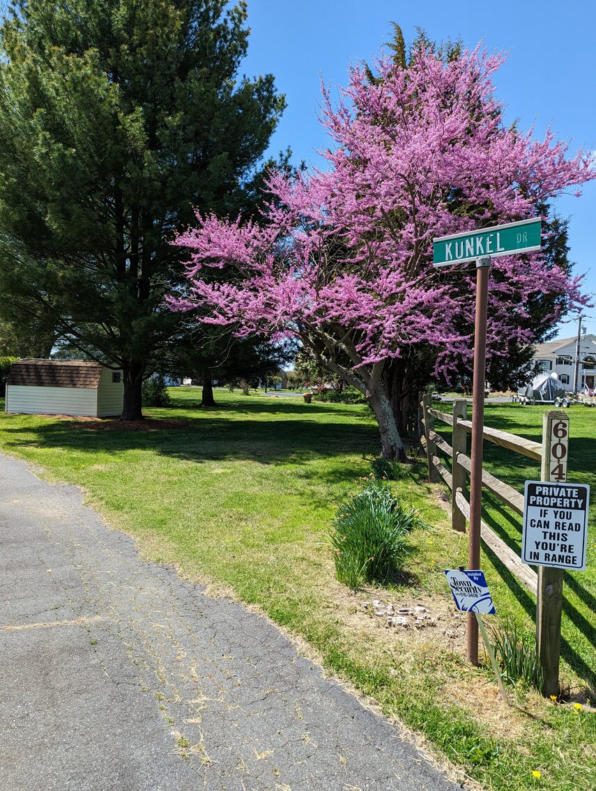Image for 100+/- FT ON BUSH RIVER 4 BR, 2.5 BA RANCHER;  MULTI-SLIP 180+/- FT PIER W/ WATER & ELECTRIC; ATT. 2-CAR GARAGE / 0.9+/- ACRE LOT W/ CONTENT