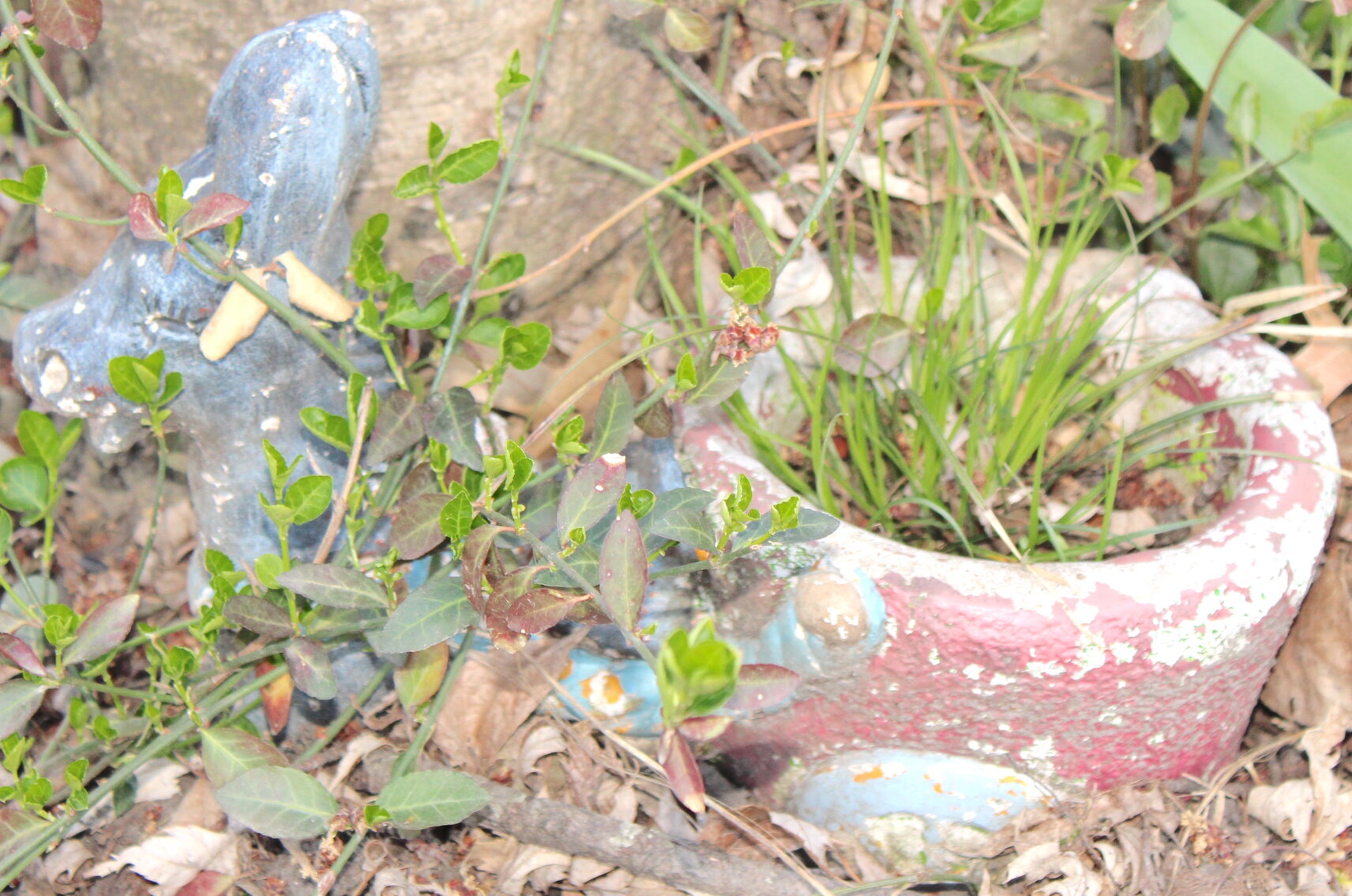 Image for ESTATE AUCTION