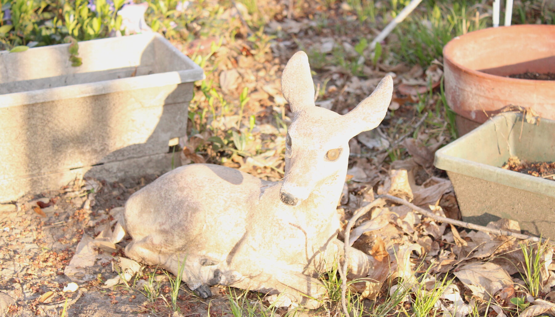 Image for ESTATE AUCTION