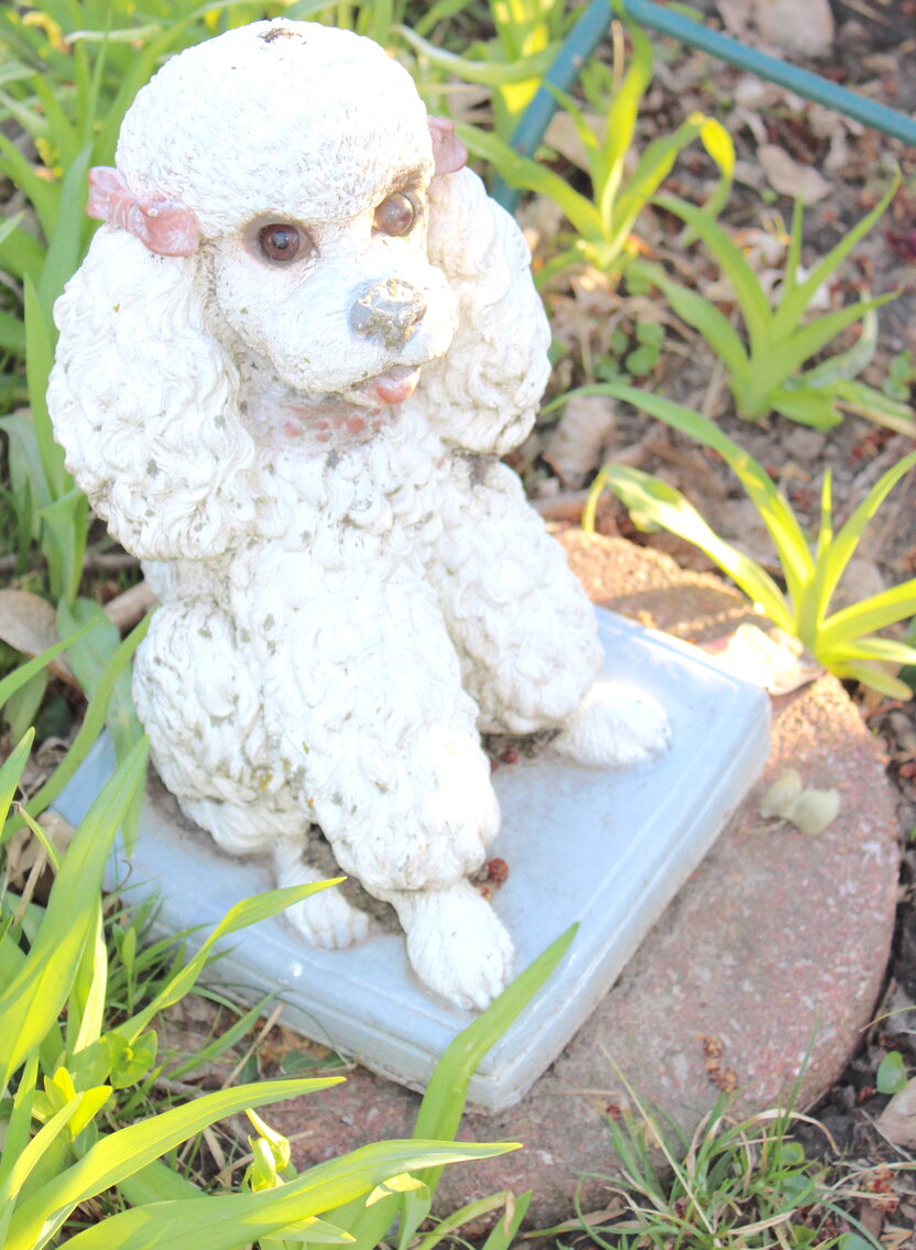 Image for ESTATE AUCTION