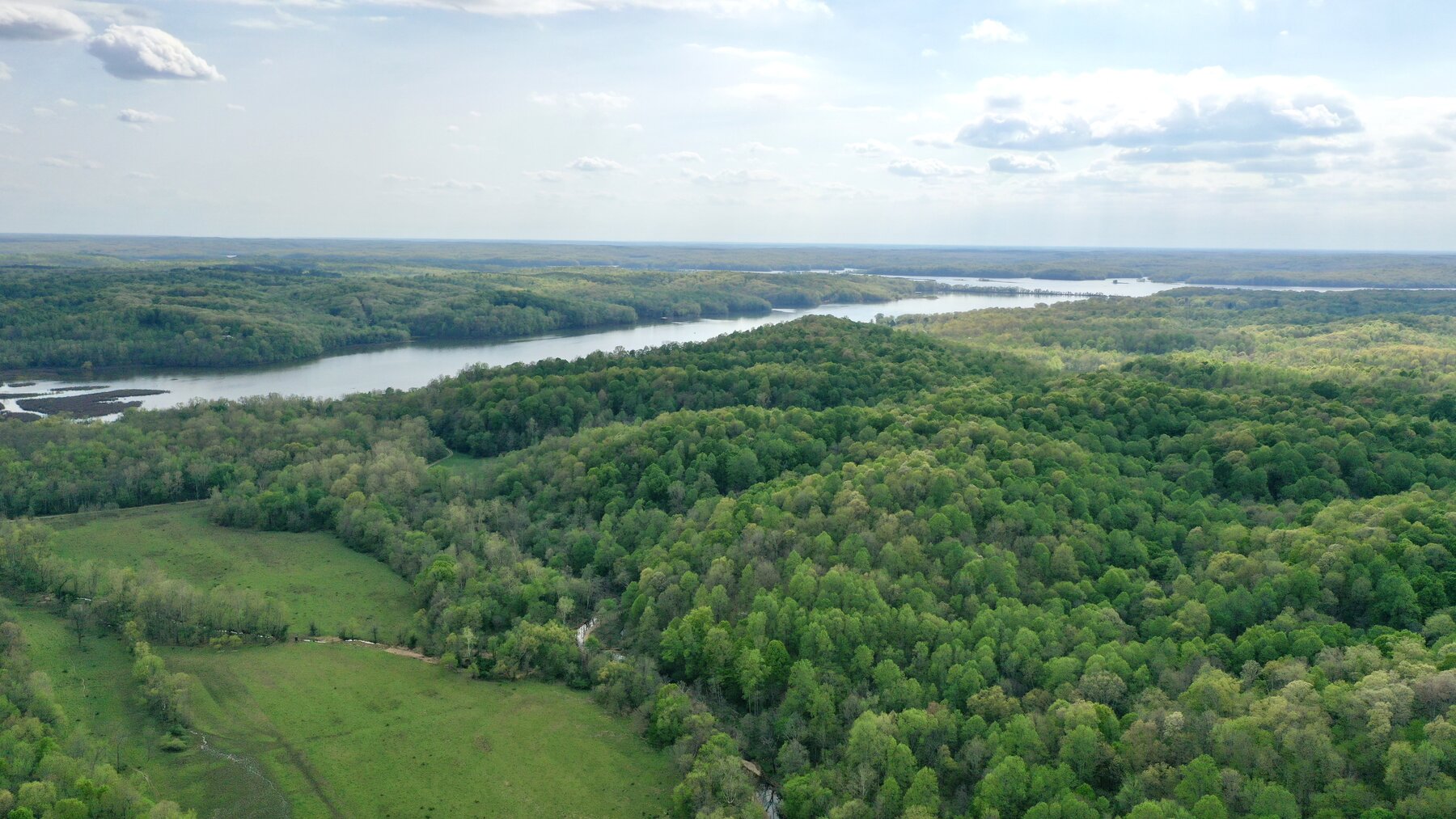 Image for 146.2+/- Acre Lake Barkley Waterfront Farm