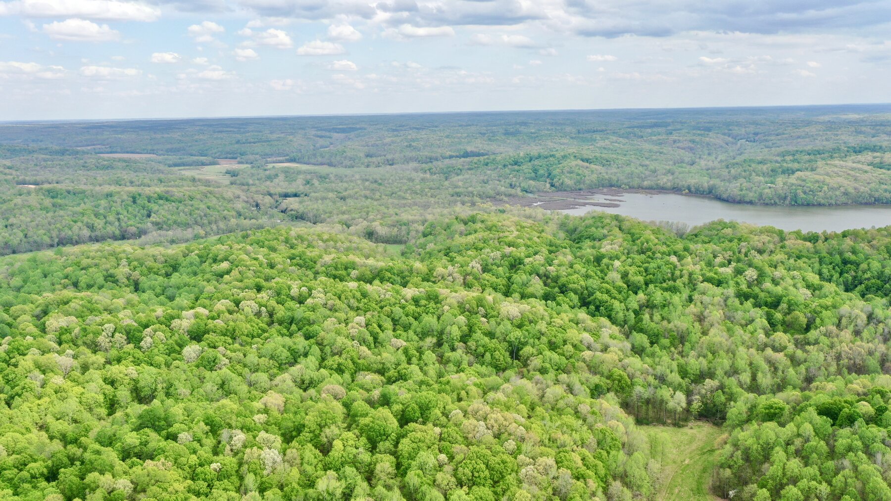 Image for 146.2+/- Acre Lake Barkley Waterfront Farm