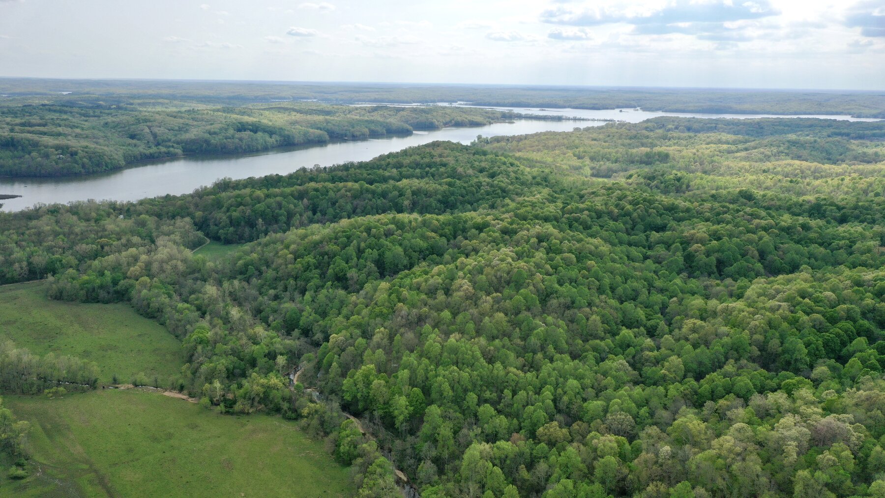 Image for 146.2+/- Acre Lake Barkley Waterfront Farm