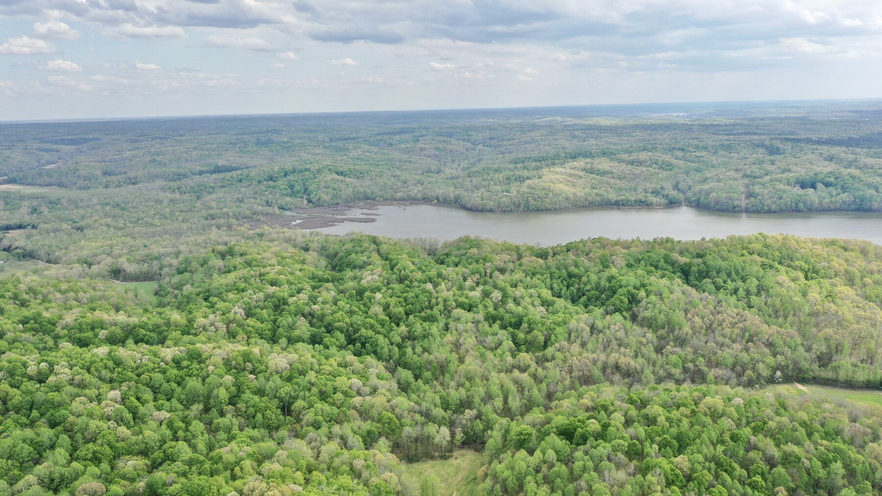 Image for 146.2+/- Acre Lake Barkley Waterfront Farm