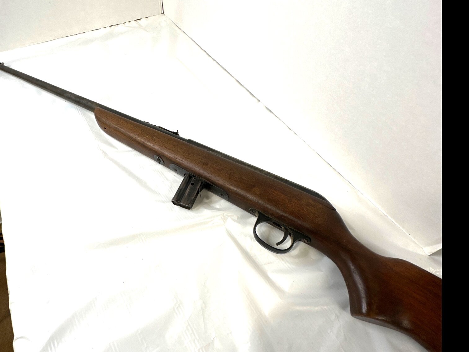22 Long Rifle