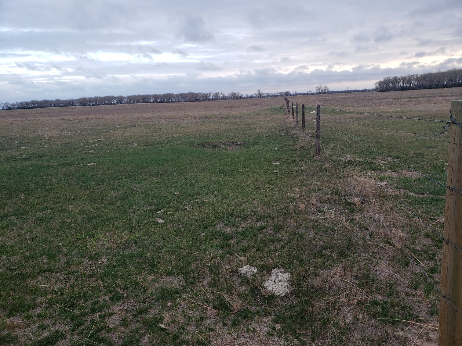 Image for 162.53+/- Acres in Holt County, NE South of Chambers, NE