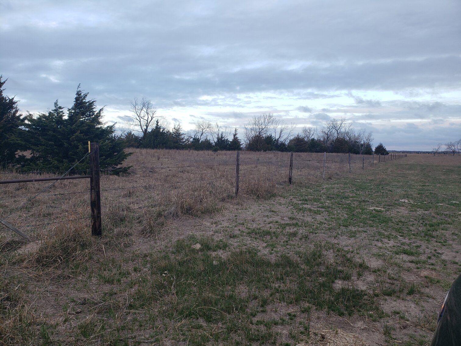 Image for 162.53+/- Acres in Holt County, NE South of Chambers, NE