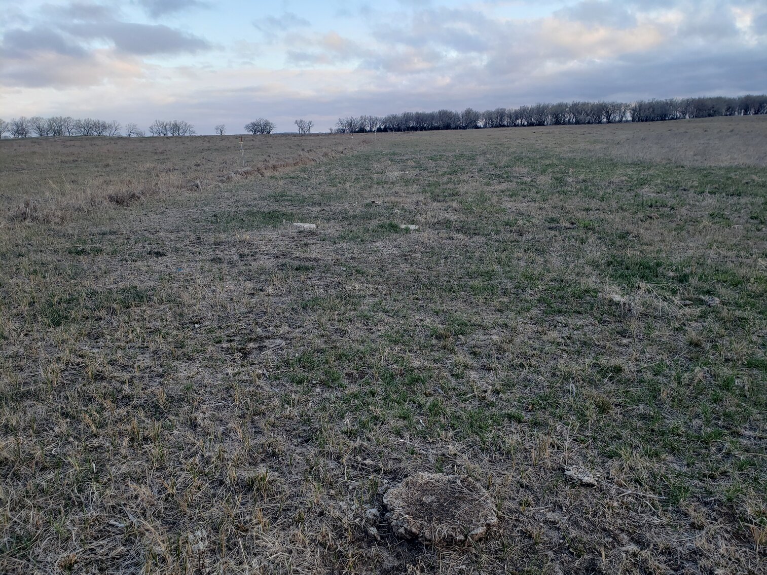 Image for 162.53+/- Acres in Holt County, NE South of Chambers, NE