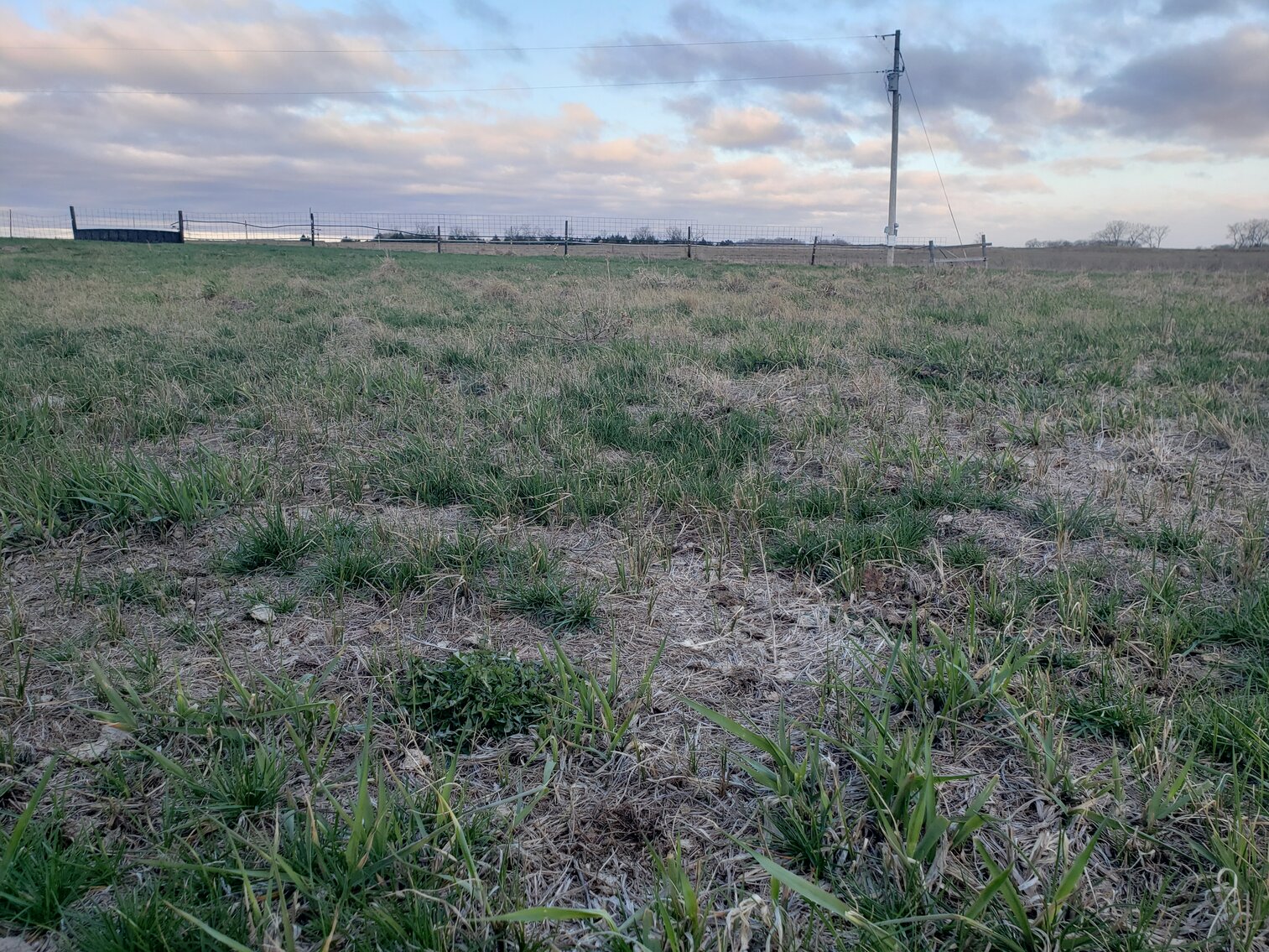 Image for 162.53+/- Acres in Holt County, NE South of Chambers, NE