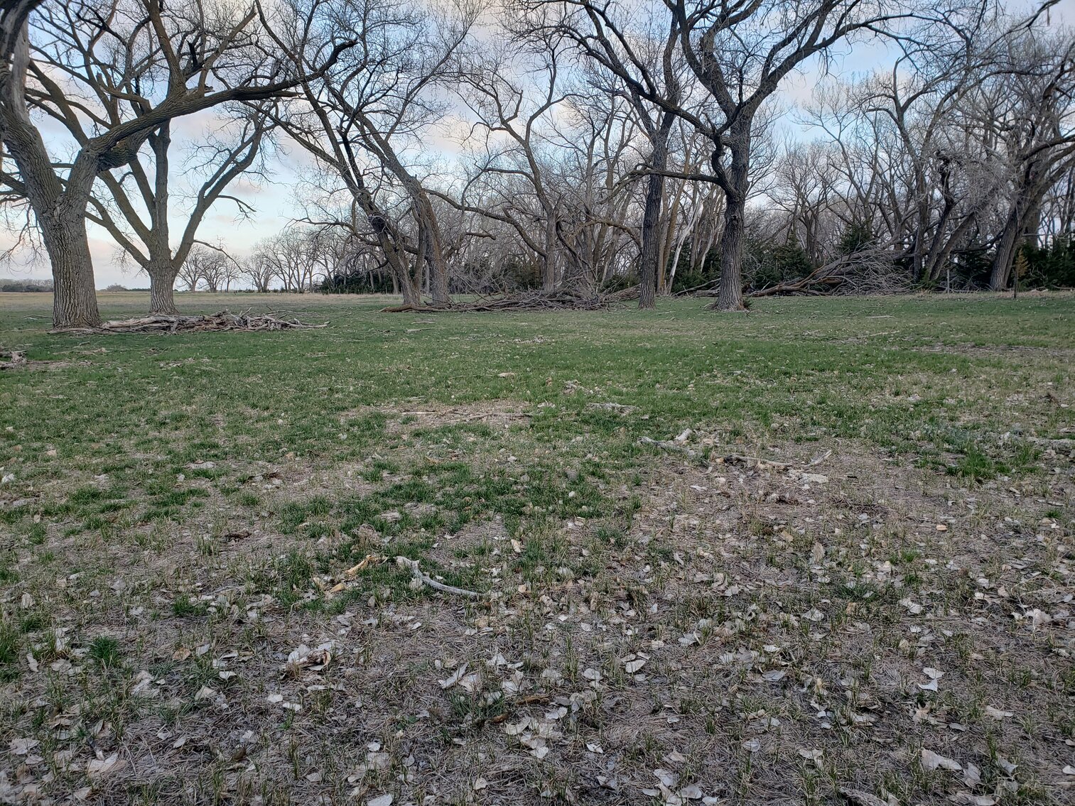 Image for 162.53+/- Acres in Holt County, NE South of Chambers, NE