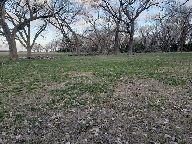 Image for 162.53+/- Acres in Holt County, NE South of Chambers, NE