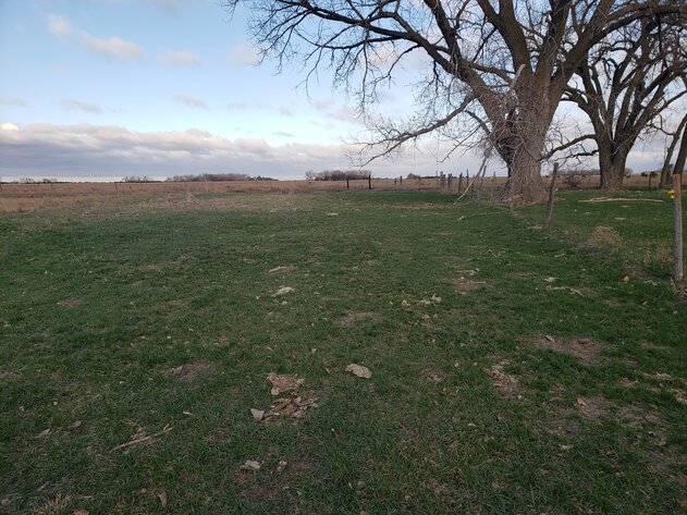 Image for 162.53+/- Acres in Holt County, NE South of Chambers, NE