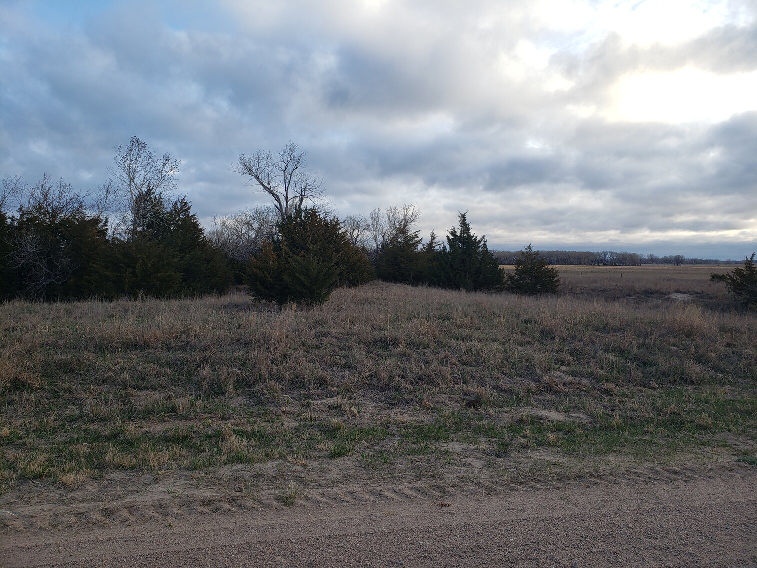 Image for 162.53+/- Acres in Holt County, NE South of Chambers, NE