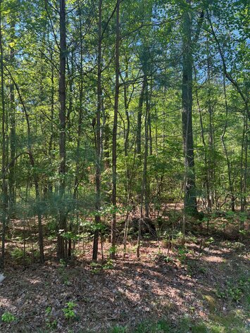 Image for Henrico County, VA Sale of Tax Delinquent Real Estate
